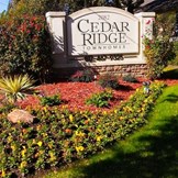 Cedar Ridge Townhomes I Arlington, TX