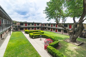 Sol Apartments San Antonio Texas