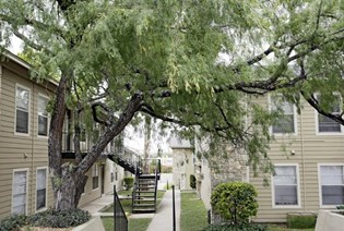 Calypso Apartments San Antonio Texas