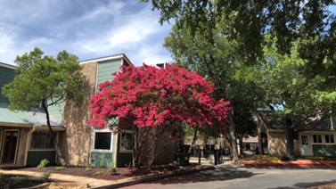 Kenton Place Apartments San Antonio Texas