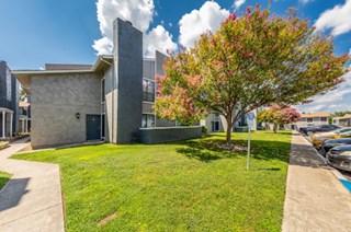 Ascent at Medical Apartments San Antonio Texas