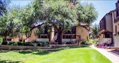 The Grove Apartments Austin Texas
