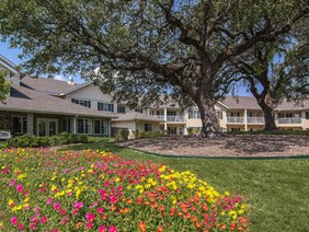 Asher Point of Round Rock Apartments Round Rock Texas