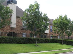 Park at Bellaire Apartments Houston Texas