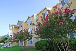 Vibe on Riverside Apartments Austin Texas