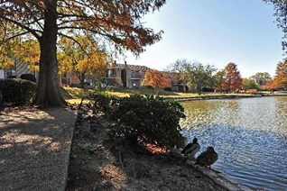 Regatta Apartments San Antonio Texas