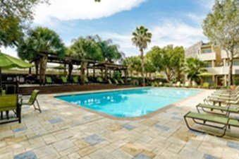 Palms On Westheimer Houston 660 For 1 2 Bed Apts