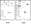644 sq. ft. floor plan