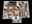 918 sq. ft. Catalina XL floor plan