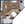 631 sq. ft. A4 floor plan
