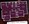 1,309 sq. ft. D1/60% floor plan