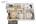 860 sq. ft. B1 floor plan