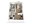 800 sq. ft. A4 floor plan