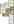 858 sq. ft. Cypress floor plan