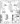 812 sq. ft. Munger floor plan