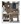 598 sq. ft. Kerrville floor plan