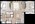911 sq. ft. Violet/50% floor plan