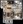 578 sq. ft. A1 floor plan