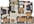 1,084 sq. ft. B1 floor plan