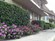 Lawnwood