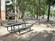 Picnic