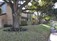 Oaks of Westchase