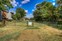 Dog Park