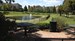 Dog Park
