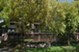 Hammerly Garden - Exterior - Photo 2 of 2
