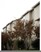 Cielo Hills - San Antonio, TX - Photo 1 of 4