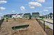 Everstead at Conroe - Dog Park - Photo 3 of 23