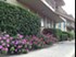 Lawnwood - San Antonio, TX - Photo 1 of 5