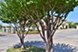 Prairie Commons - Exterior - Photo 3 of 3