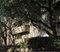 Carlisle on the Katy Trail - Exterior - Photo 3 of 10