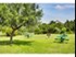 Canyon Ridge - BBQ - Photo 3 of 10