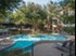 Village Northbridge - Pool - Photo 4 of 17