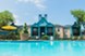 Waters at Westchase - Pool - Photo 8 of 13