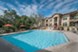 Belterra Springs - Pool - Photo 6 of 19