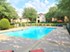 Langdon at Spring Creek - Pool - Photo 6 of 19