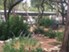 Waters at Barton Creek - Pet Park - Photo 7 of 25