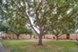 Red Pines - Courtyard - Photo 3 of 28
