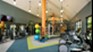 Olympus at Memorial - Fitness - Photo 4 of 19