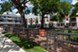 Pike West Commerce - Dog Park - Photo 7 of 24
