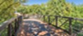 MAA Willow Creek - Courtyard - Photo 4 of 11