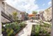 Grove at 43rd - Houston, TX - Photo 1 of 10