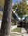 Calypso - Exterior - Photo 5 of 13