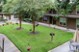 Emerson Pines - Courtyard - Photo 5 of 18