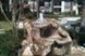 Champions Centre - Fountain - Photo 6 of 12