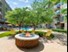 Fairmount at Oak Lawn - Fire Pit - Photo 7 of 29