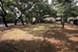 Walnut Hill - Dog Park - Photo 3 of 13